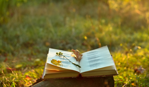 Seminarium naukowe Poezja jako Locus Theologicus